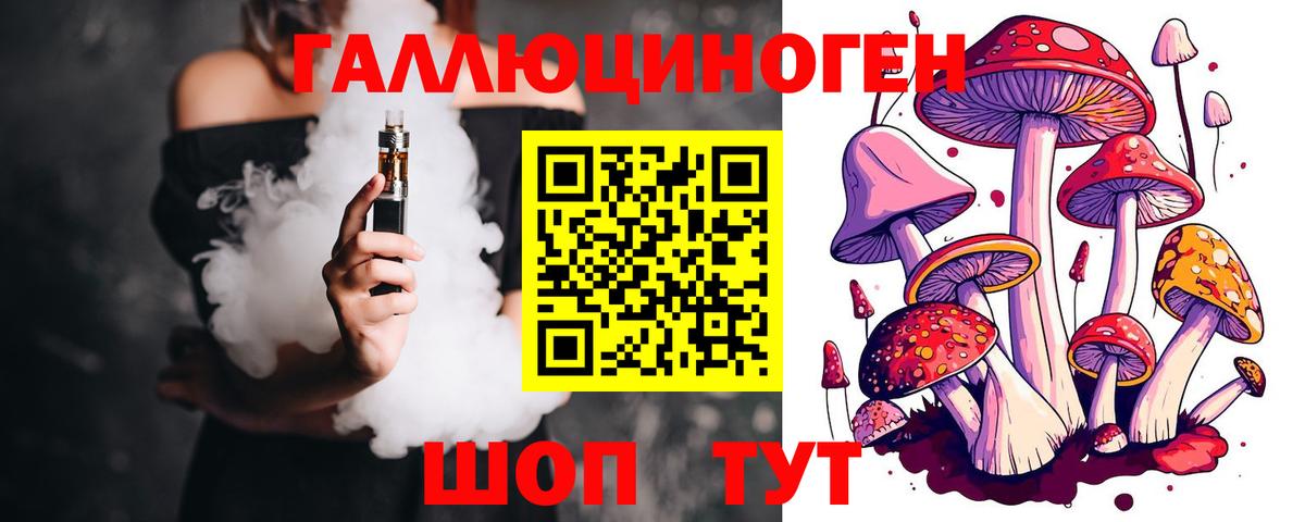 Корсаков  Галлюциногенные грибы GOLDEN TEACHER  Вход с VPN 
