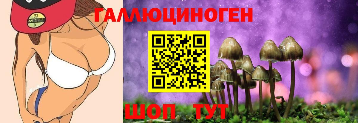 Галлюциногенные грибы прущие грибы Корсаков